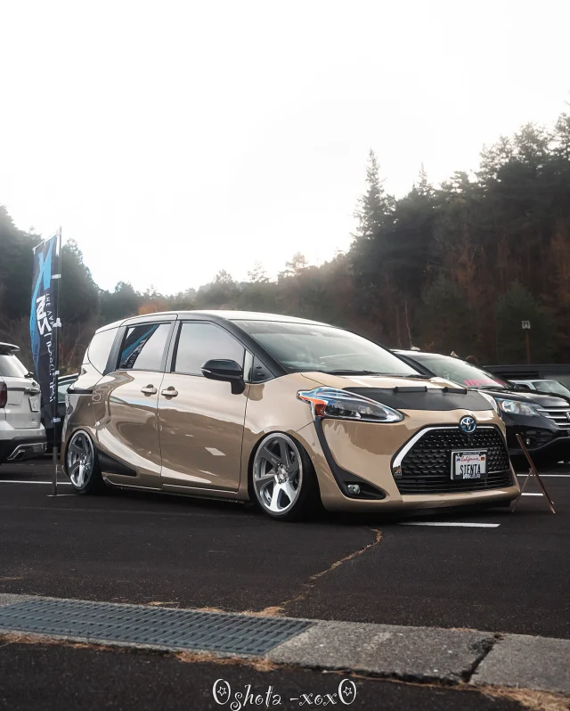 次世代 エアサス エアフォース サスペンション ジャパン＜air