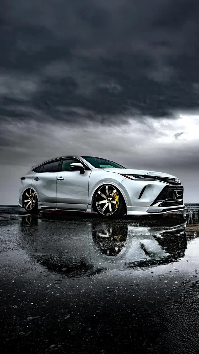 次世代 エアサス エアフォース サスペンション ジャパン＜air force